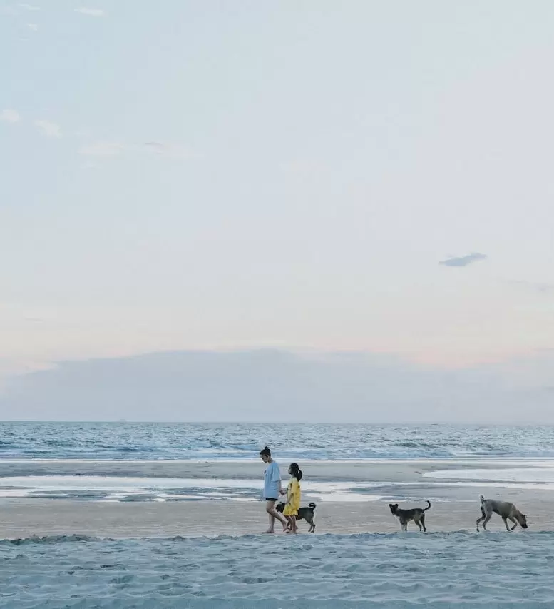 Badeurlaub und Naturparadiese in Mui Ne